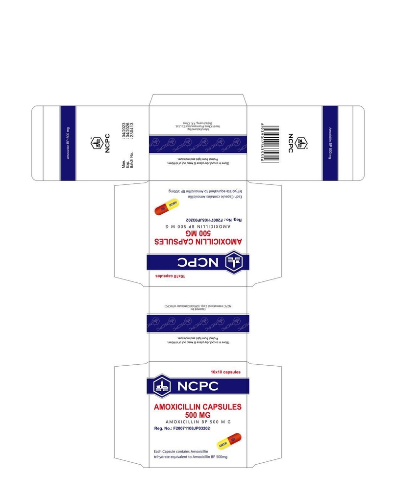 Амоксициллин 500мг №100 капсул/NCPC/